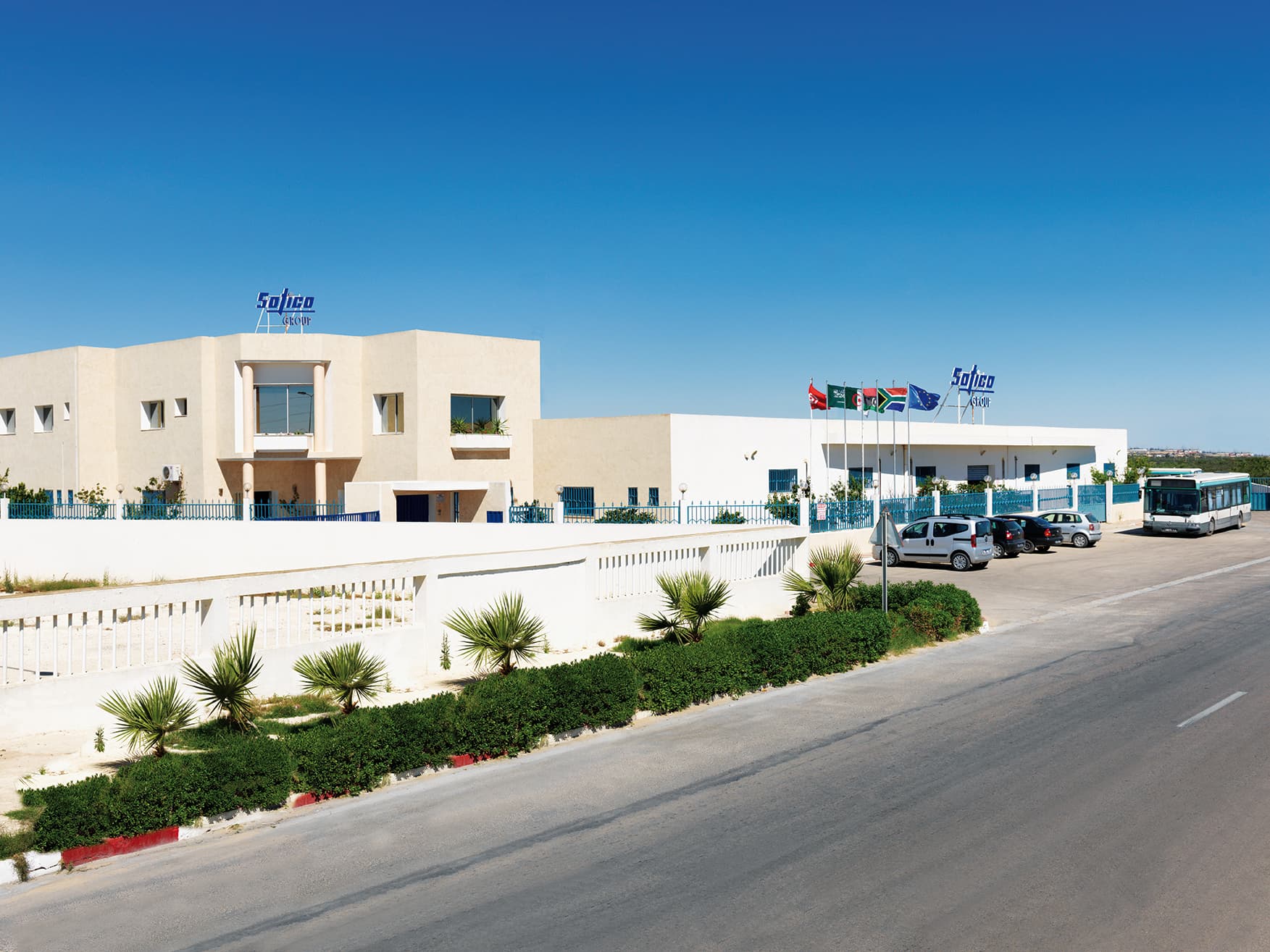 Sotico company history